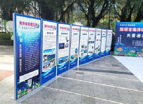 若尔盖KT板的种类和知识。